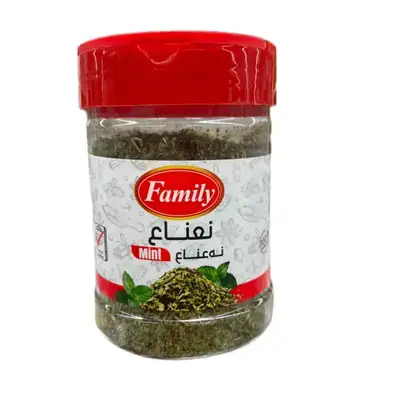 Family Plastic Spices Mint 30g