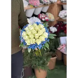 20 Rose