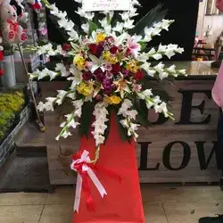 Stand Flowers-Colors