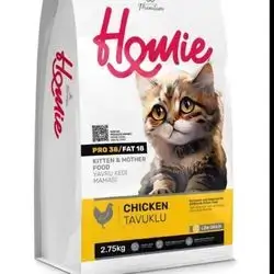 Homie kitten chicken