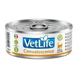 Vetlife Convalescence 85g