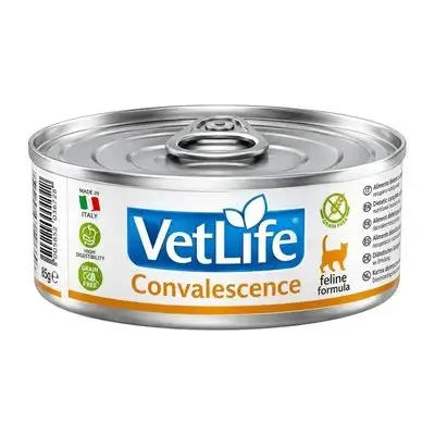 Vetlife Convalescence 85g