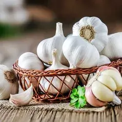 Chinese Garlic 