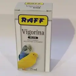 Raff