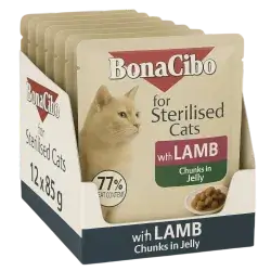 Bonacibo Lamb 12x