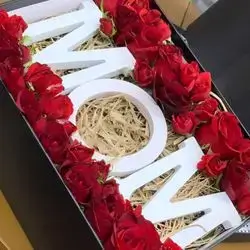 Mothers Day Gift