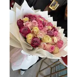 Mixed Rose