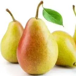 Australian Pear