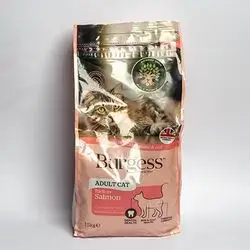 Burgess - Adult Cat With Salmon