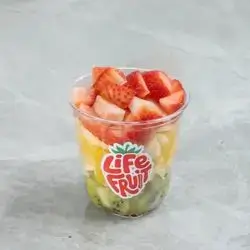 Normal Cup L