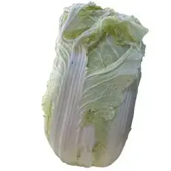 Turkish Lettuce