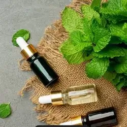 Mint Oil