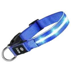 Pet LED Collar - Small