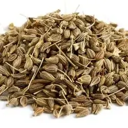 Anise