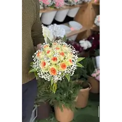 13 Rose