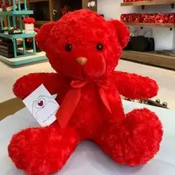Bear Gift 25 cm