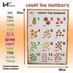Count The Numbers 50x70