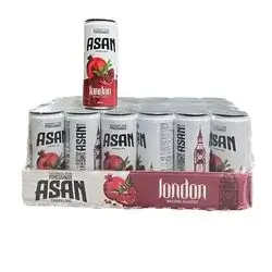 ASAN ACTIVE 250 ml 24pcs