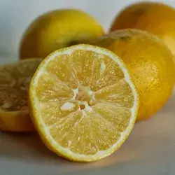 Sweet Lemon