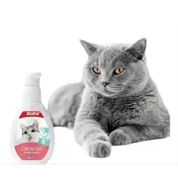 Catnip Gel