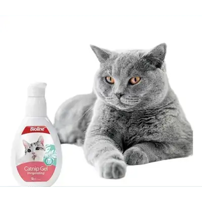 Catnip Gel