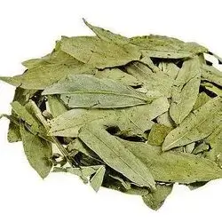 Senamaki Tea
