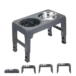 PDTO Raised Dog Bowl