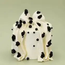 cake papyon