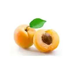 Apricot Import Kg