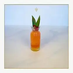 Summer Soda Mojito