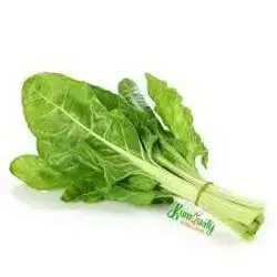 Chard