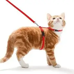 Cat Leash & Harness 15-25cm