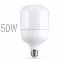 Large Bright 50W LED Light Bulb