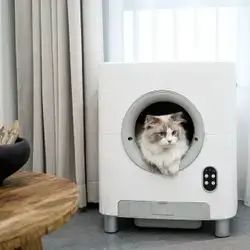 Charm Kit Auto Matic Litter Box 