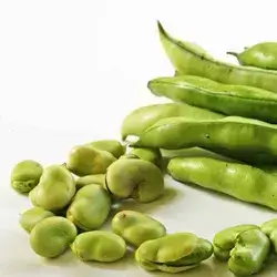 Broad Beans