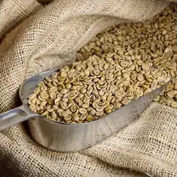 Green Coffee
