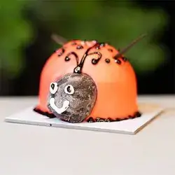 Lady Bug