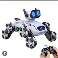 Robot Control, Watch And Charger