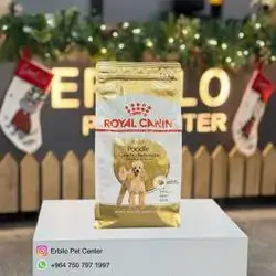 Poodle 1.5kg 