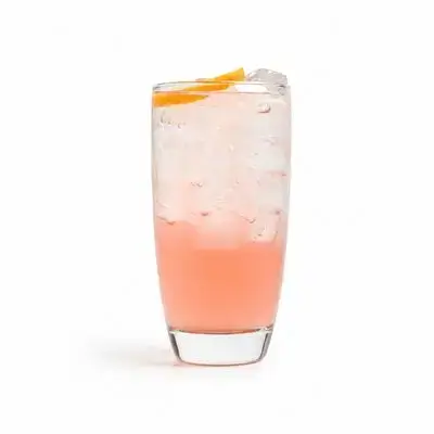 Watermelon Mojito