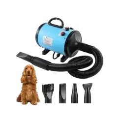 Hair Dryer
