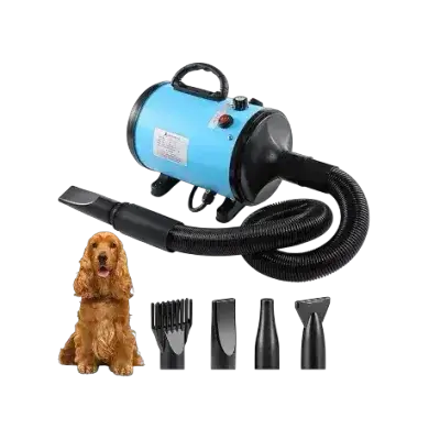 Hair Dryer
