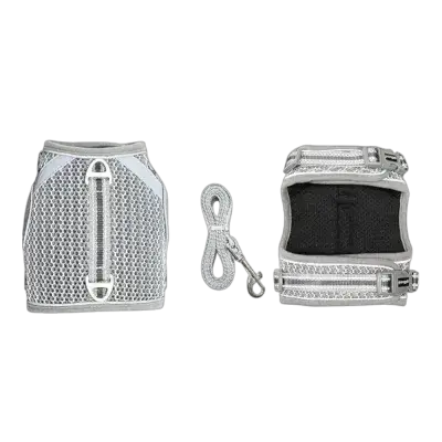 Leash & Harness L