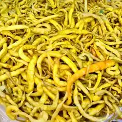Hot Iraqi Pepper