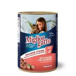 Italy Migilor Gatto Cat Salmon 400G
