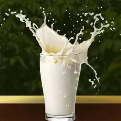 Milk