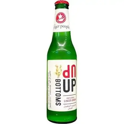 The Ginger People Up Botto Nrb330ml