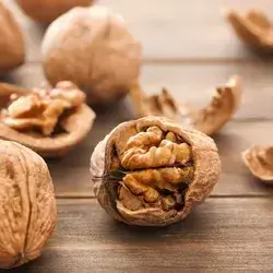 Walnut