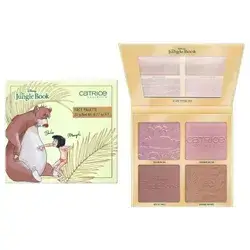 Blush Pallete Catrice