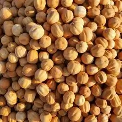 Lemon Basra